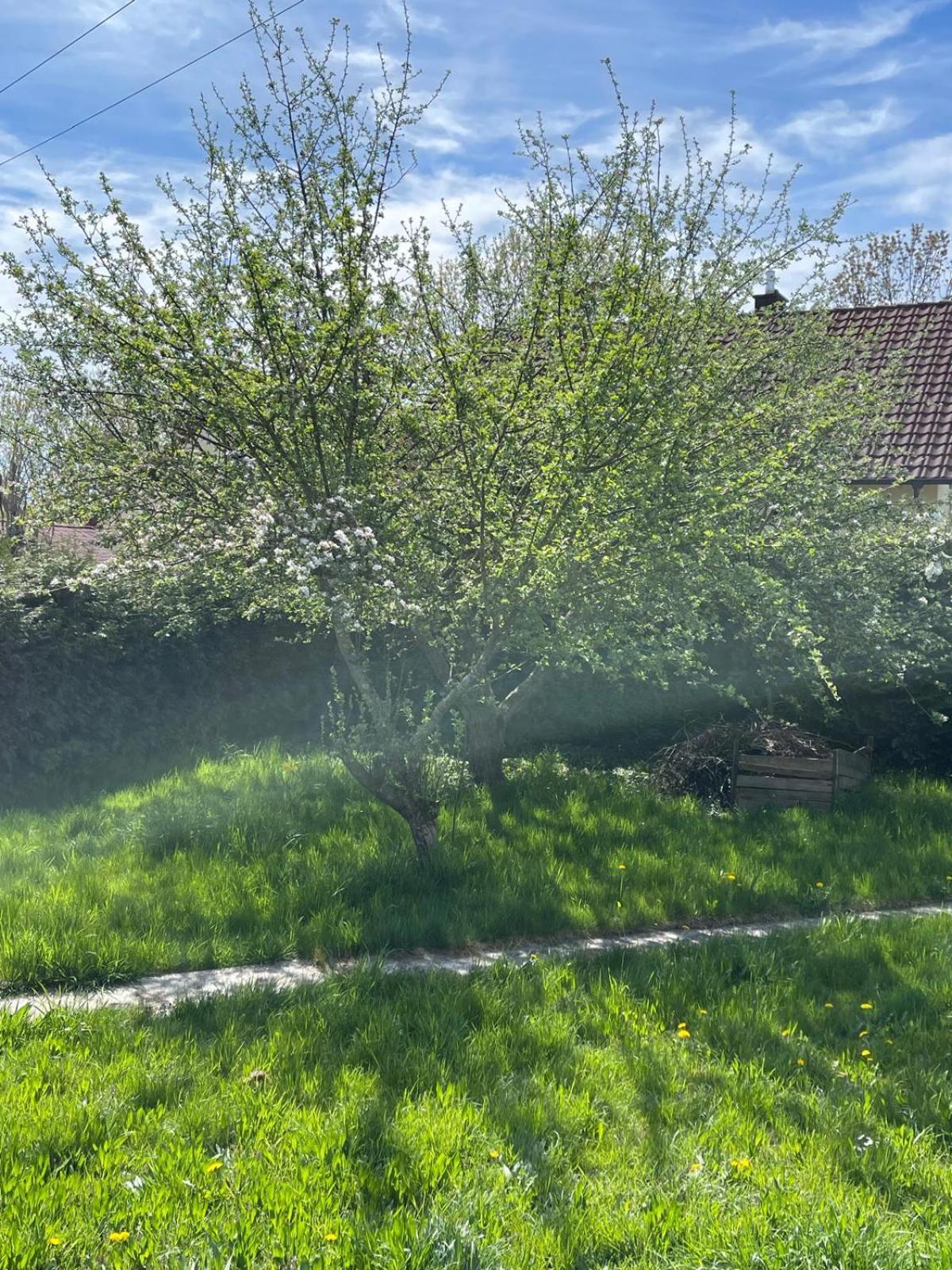 Bungalow In Ruhiger Siedlung Mit Stellplatz ลันด์สฮูท ภายนอก รูปภาพ